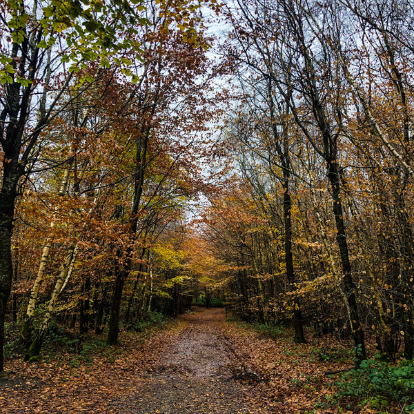 Autumnal walks in the West Kent countryside